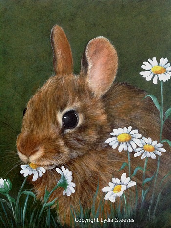 Daisy Bunny e-Packet